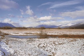 Überflutetes Livanjsko Polje im Winter.